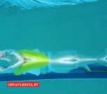 swimtrainer-yellow-big-03